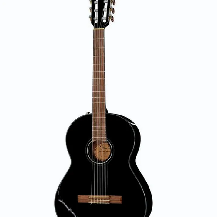 Fender CN-60S Black IL