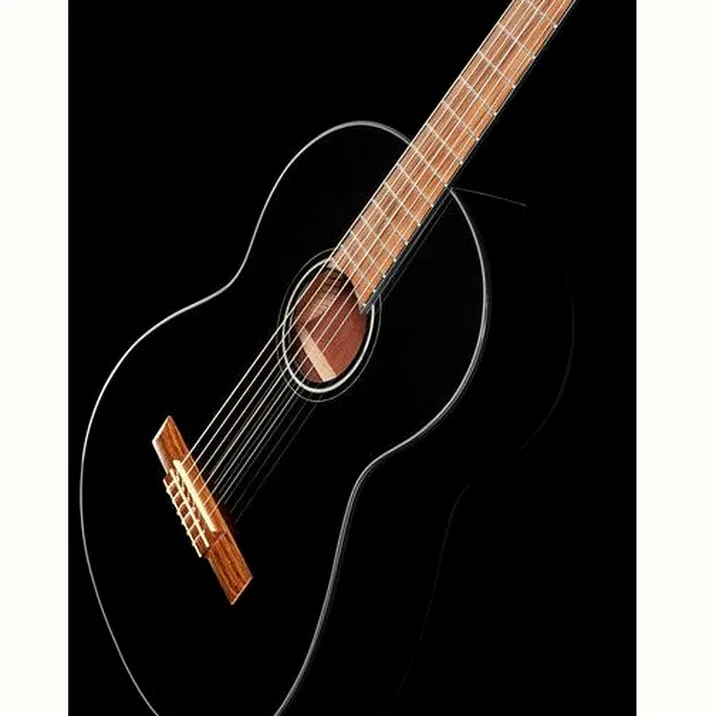 Fender Cn 60S Black Il W Bag