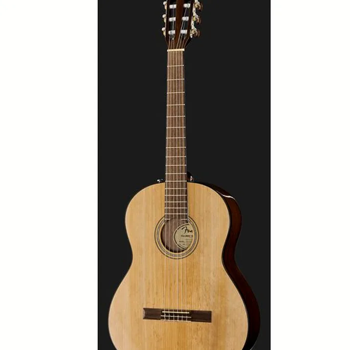 Fender CN-60S Natural WN w/Bag