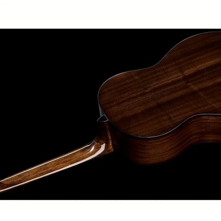 Fender Cn 60S Natural Wn W Bag