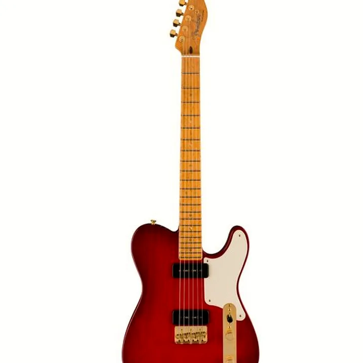 Fender Custom P90 Tele DLX Closet TRB