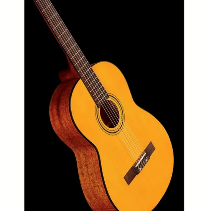 Fender Esc105 Educational 44