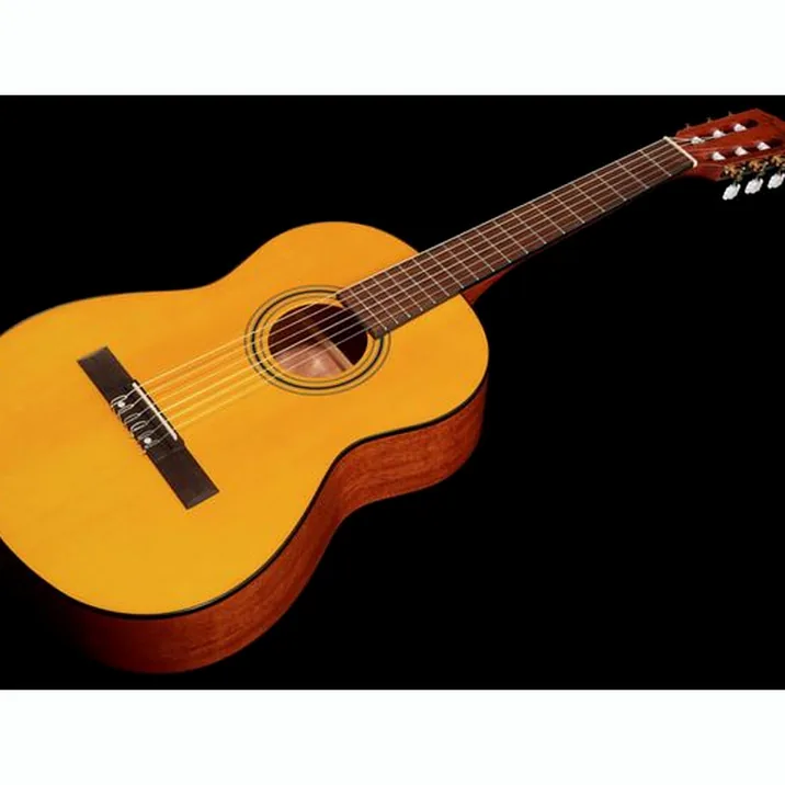 Fender Esc80 Educational 34