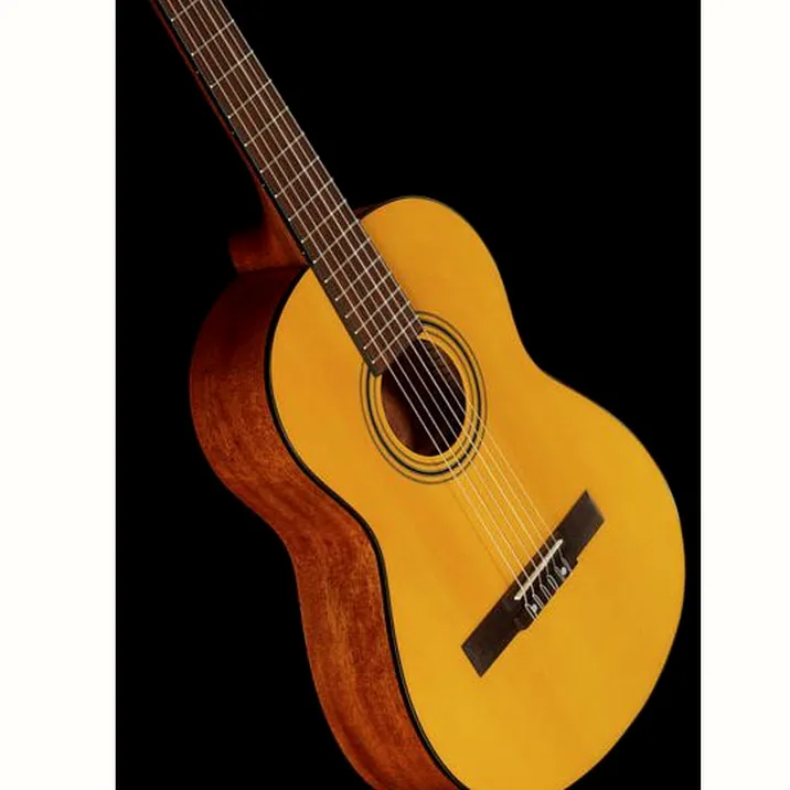 Fender Esc80 Educational 34