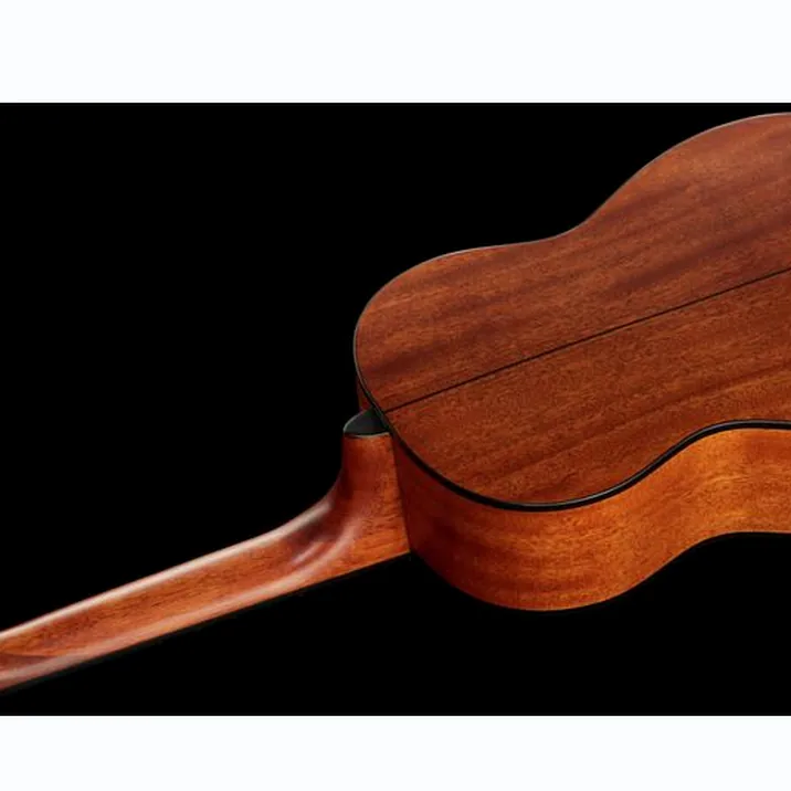 Fender Esc80 Educational 34