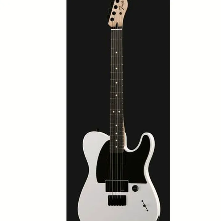 Fender Jim Root Telecaster Flat White
