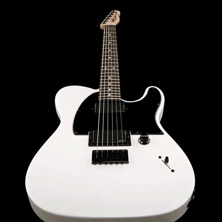 Fender Jim Root Telecaster Flat White