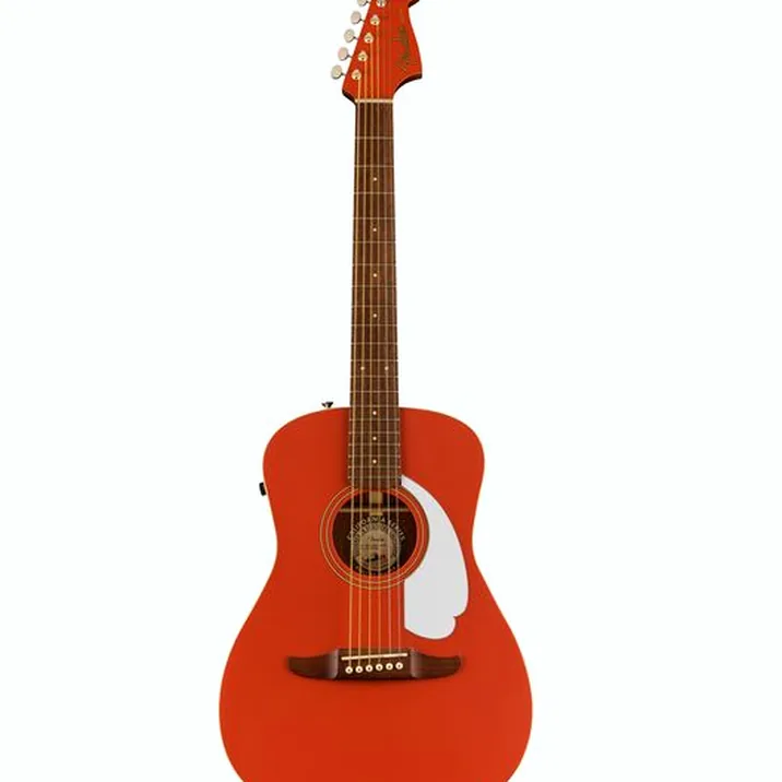 Fender Malibu Player FR WN