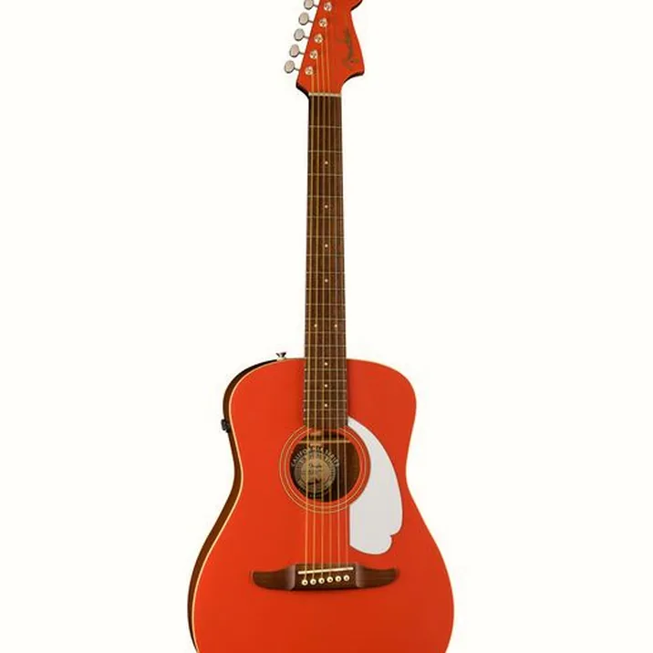 Fender Malibu Player FR WN