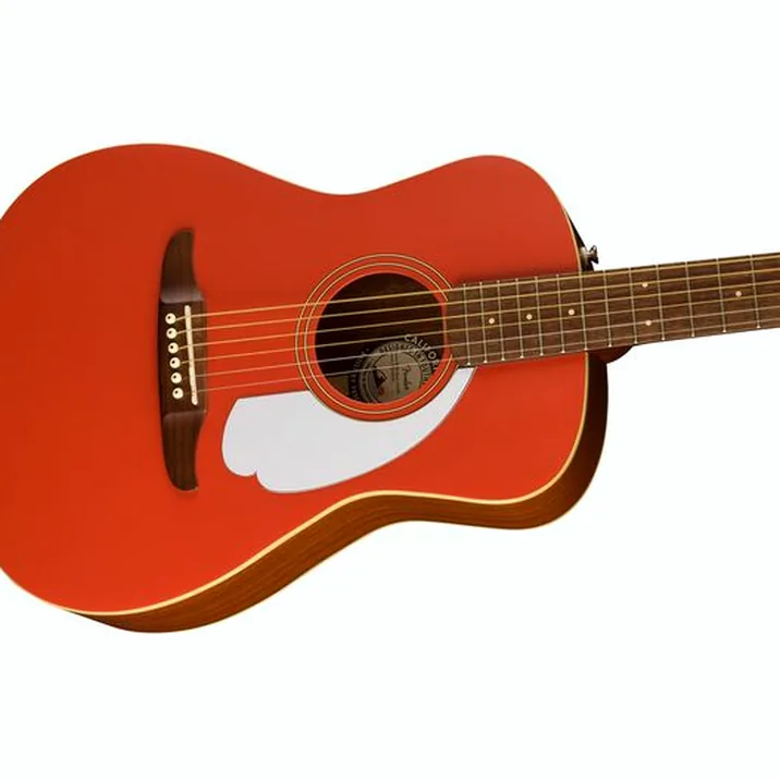 Fender Malibu Player Fr Wn