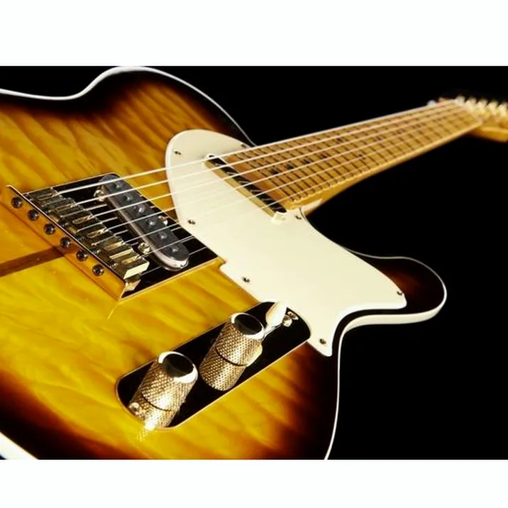 Fender Merle Haggard Signature Tele 2