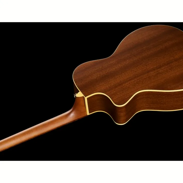 Fender Newporter Player Sfg Wn