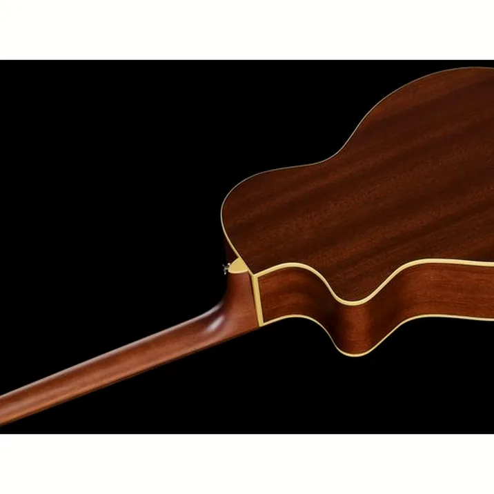 Fender Newporter Player Tpl Wn