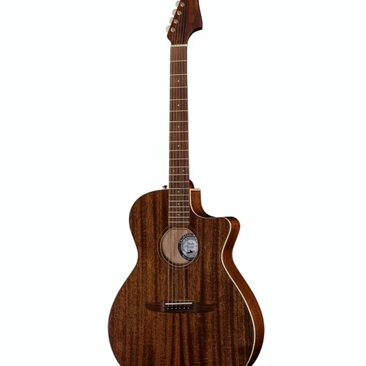 Fender Newporter Special MAH w/Bag