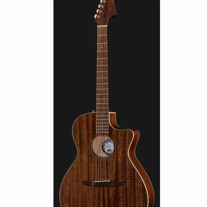 Fender Newporter Special MAH w/Bag