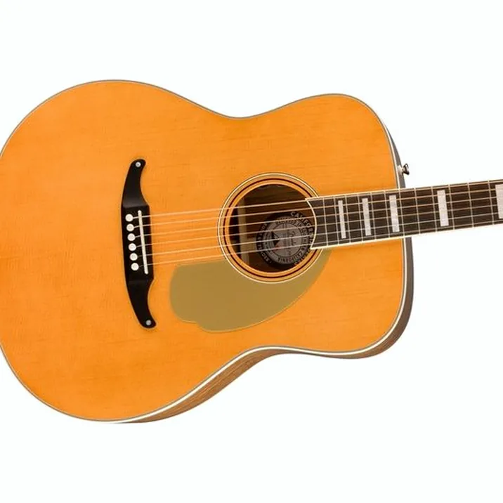 Fender Palomino Vintage Agn W Case