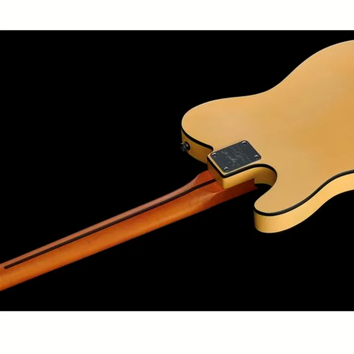 Fender Squier Tele 40Th Anniv Vb