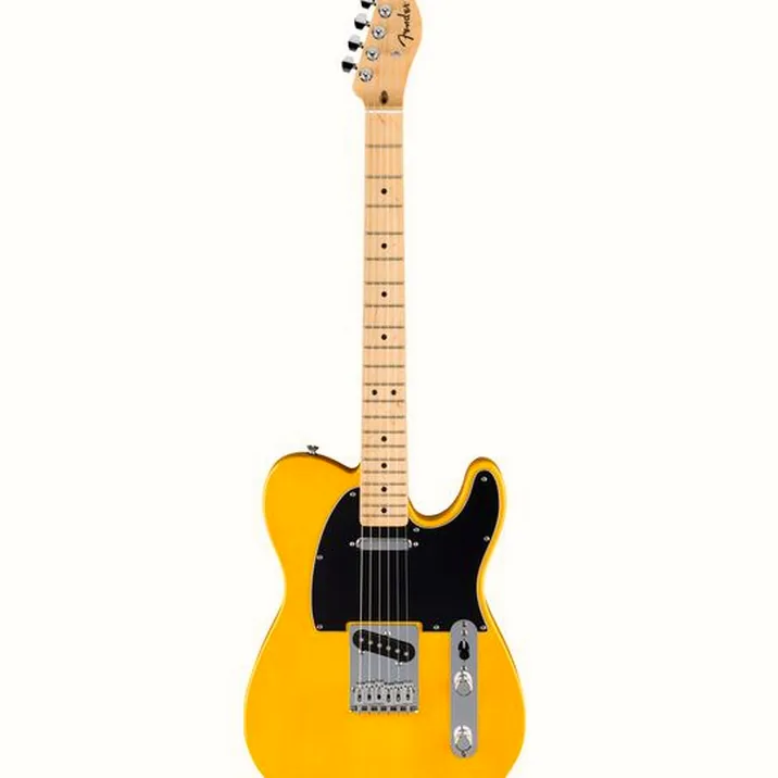 Fender Standard Tele MN BPG BTB