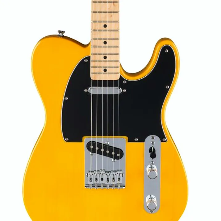 Fender Standard Tele MN BPG BTB