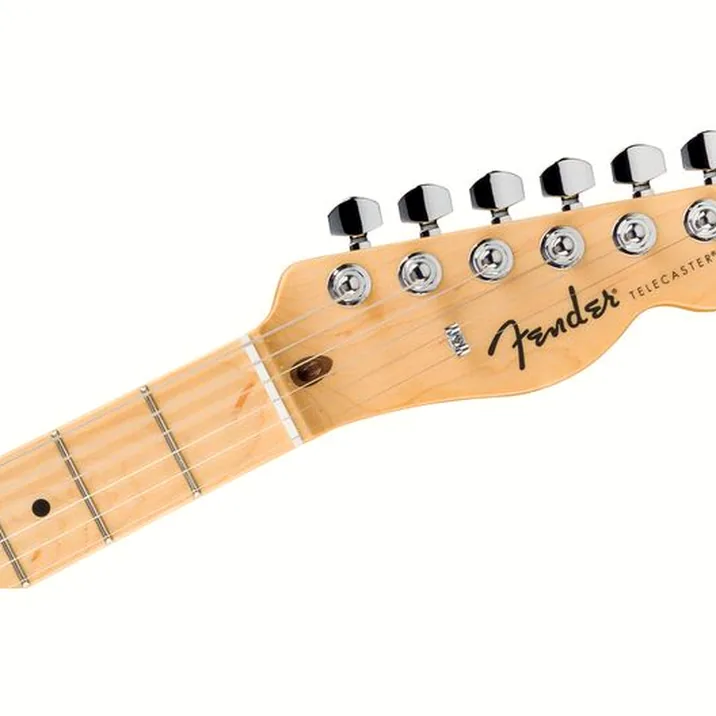 Fender Standard Tele MN BPG BTB