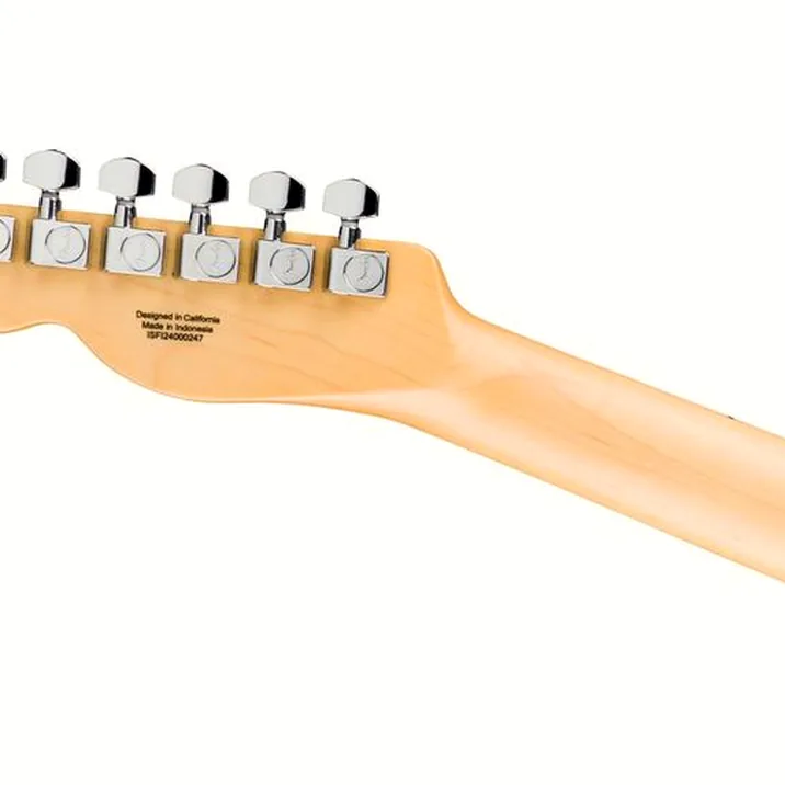 Fender Standard Tele MN BPG BTB