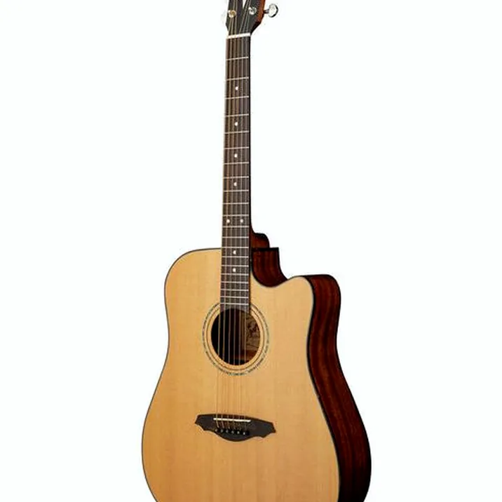 Framus FD 14 SV Dreadnought VTN