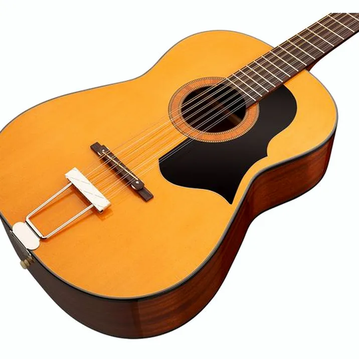 Framus Vintage Hootenanny 12 HP