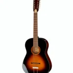 ¿Por qué elegir la Framus Vintage Hootenanny 12 SB HP de Framus? Opiniones y Test