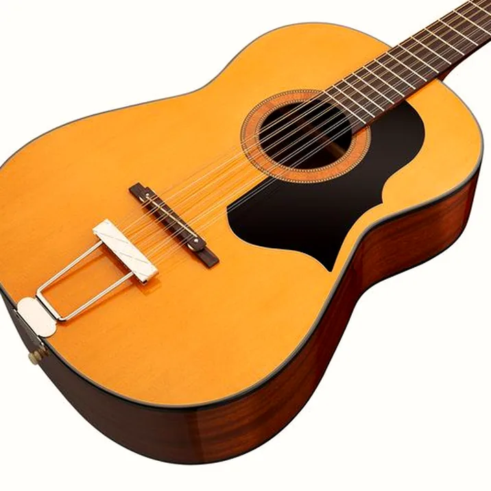 Framus Vintage Hootenanny 12 TN