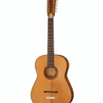 Framus Vintage Hootenanny 12 TS : ¿Es tu próxima acústica? Opiniones