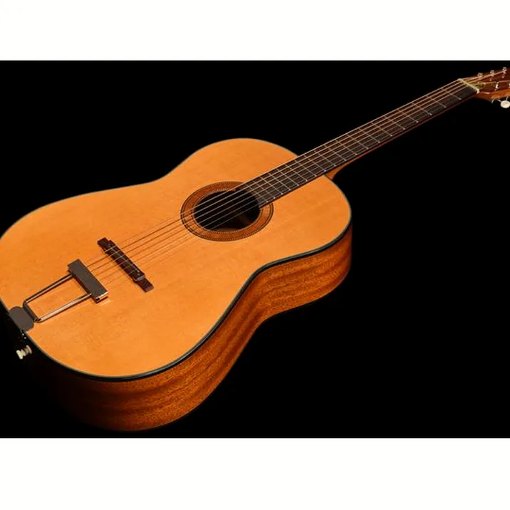 Framus Vintage Hootenanny 6 HP