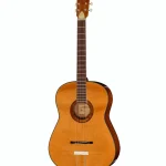 Framus Vintage Hootenanny 6 TN : Análisis completo de esta guitarra acústica
