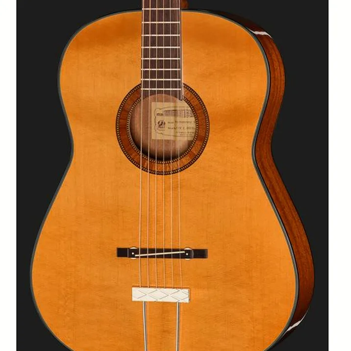 Framus Vintage Hootenanny 6 TN
