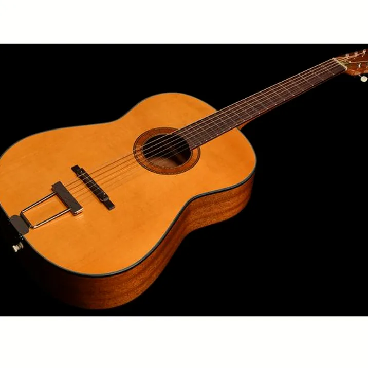 Framus Vintage Hootenanny 6 TN