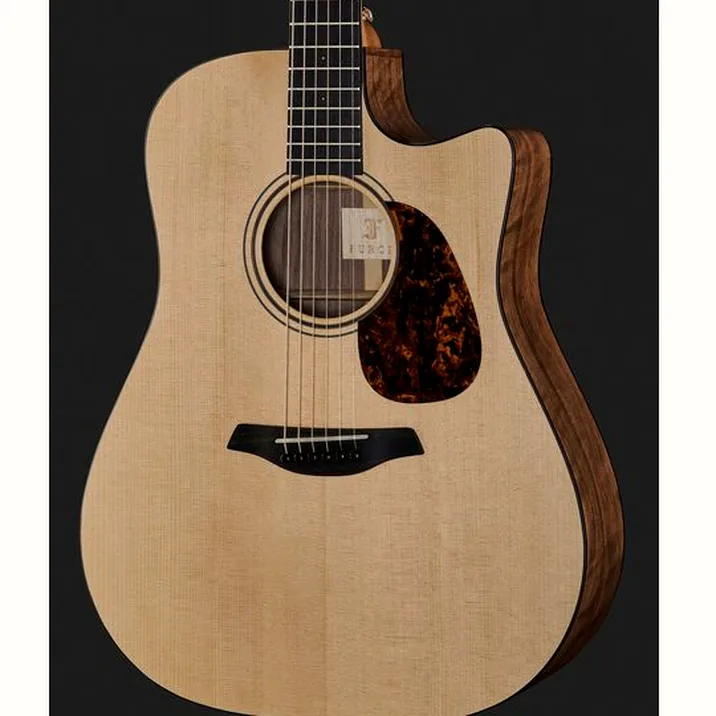 Furch Blue D Sw L R Baggs Stage Pro