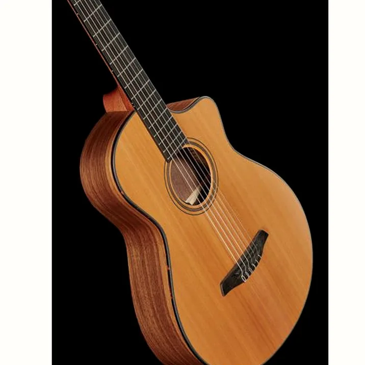 Furch Gnc2 Cw W Lr Baggs Eas Vtc