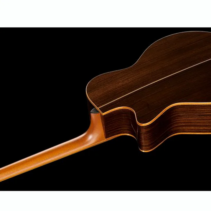 Furch Rainbow Gc Sr Custom Shop