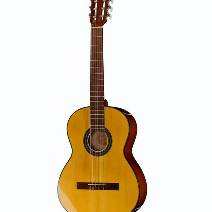 Gewa Student Solid Top Spruce 4/4