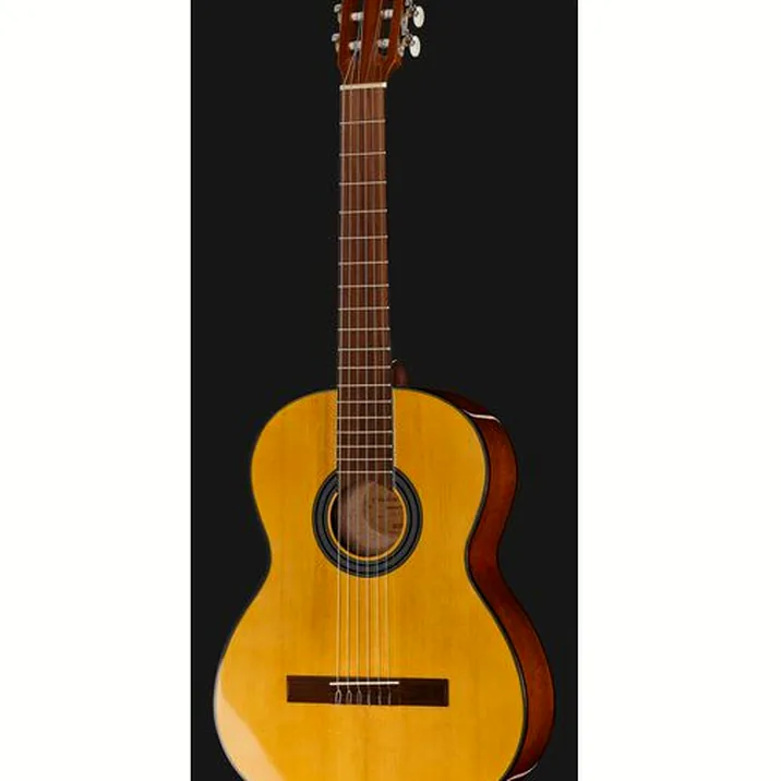 Gewa Student Solid Top Spruce 4/4