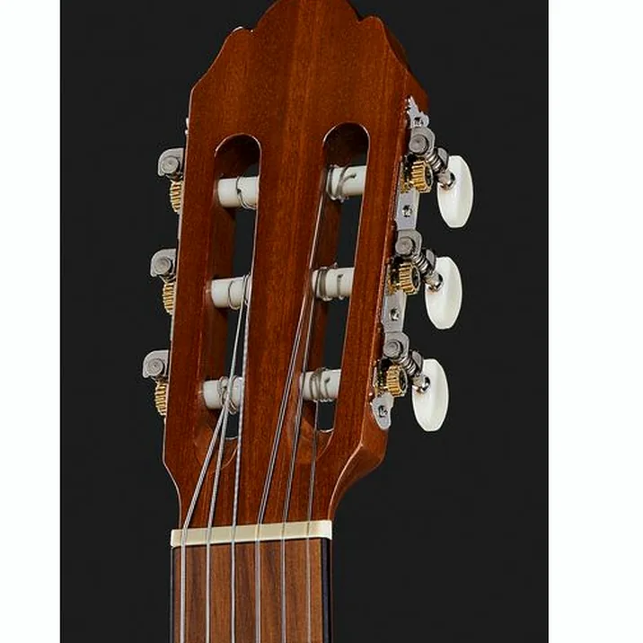Gewa Student Solid Top Spruce 4 4