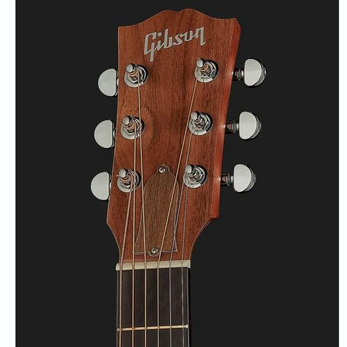 Gibson G 45 Natural Generation
