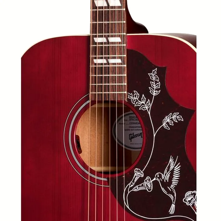 Gibson Hummingbird Special SWR