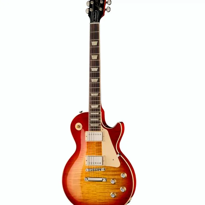 Gibson Les Paul Standard 60s AAA HCS