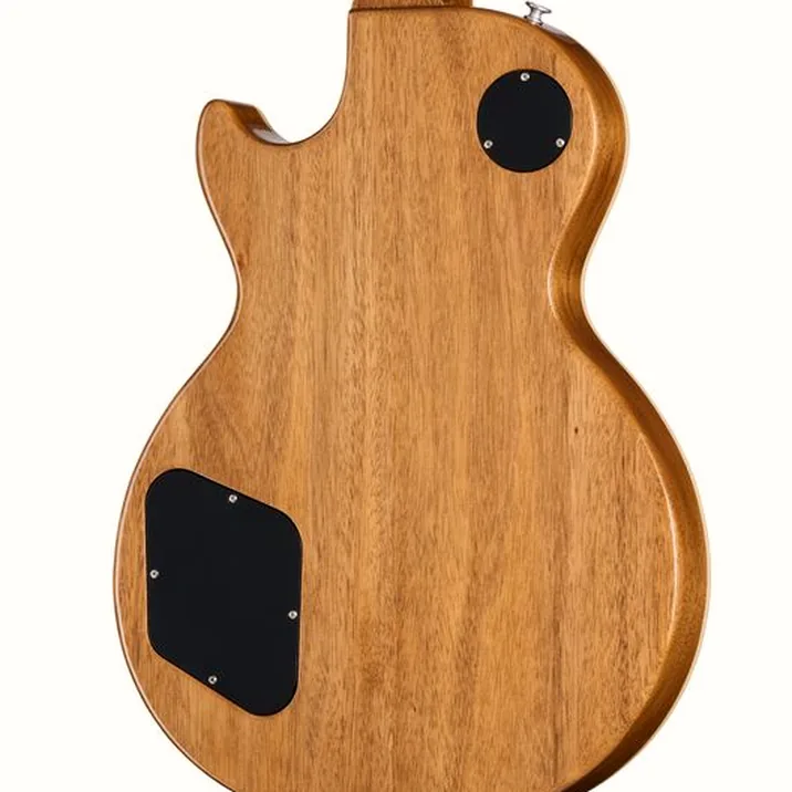 Gibson Les Paul Standard 60s DT VTB