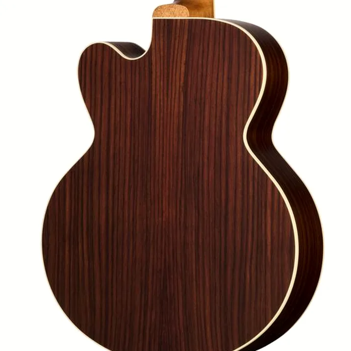 Gibson Parlor Rosewood EC RB