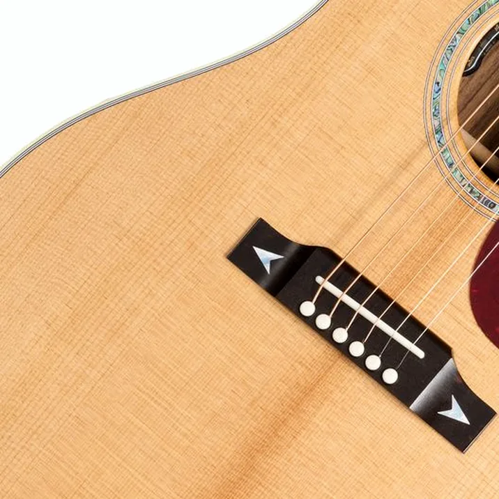 Gibson Songwriter Rec Artist AN