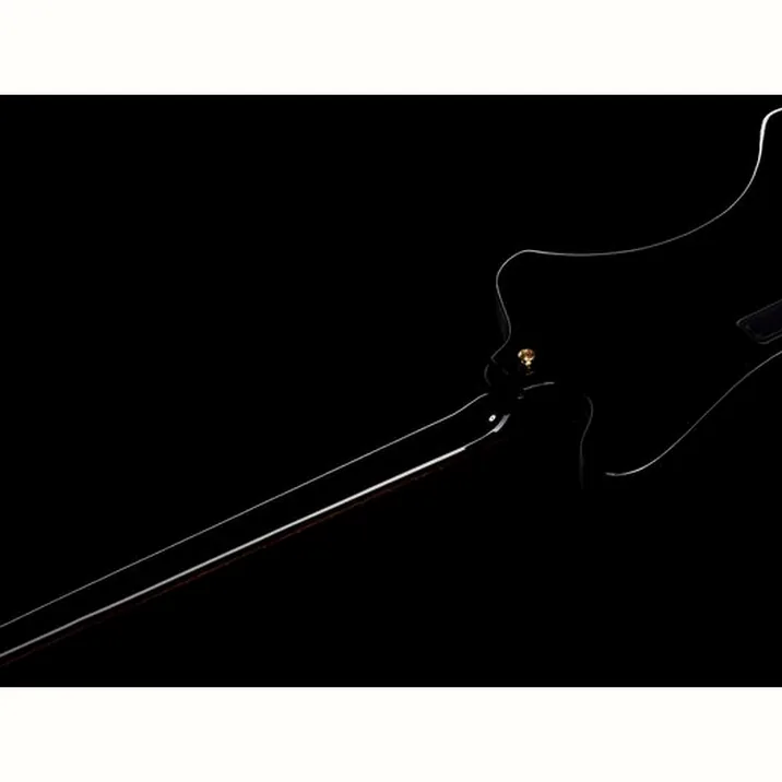 Gibson Thunderbird Rex Brown Bass