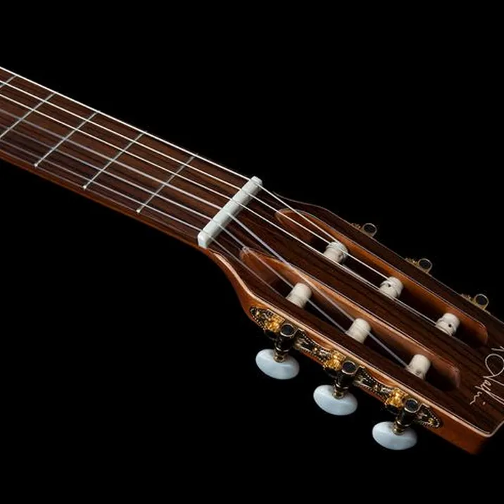Godin Concert