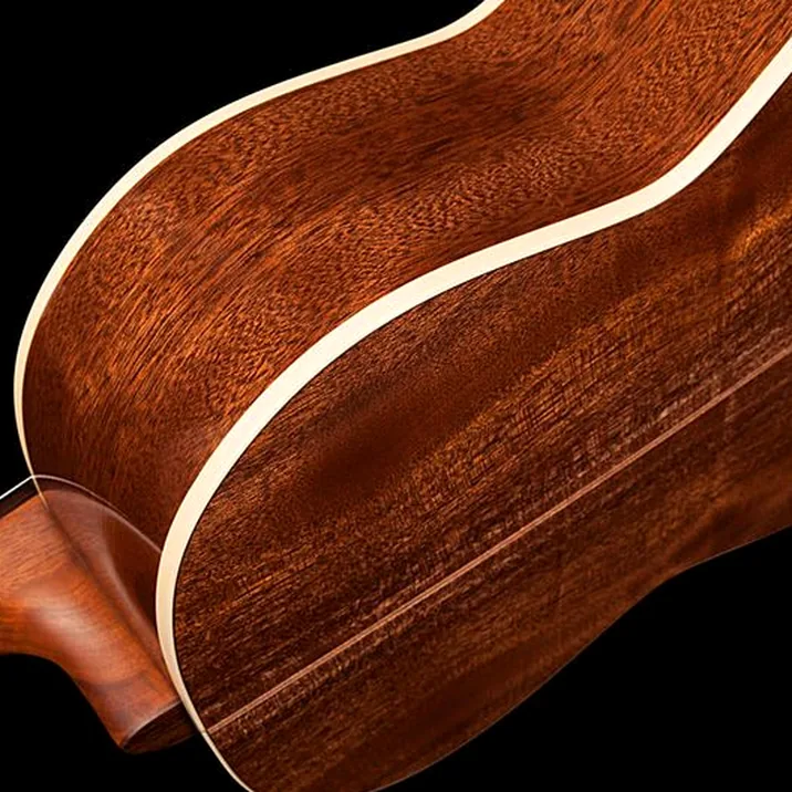 Godin Concert