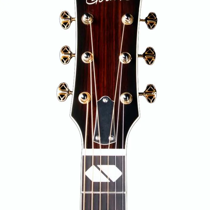 Godin Connaisseur MJ Black RW
